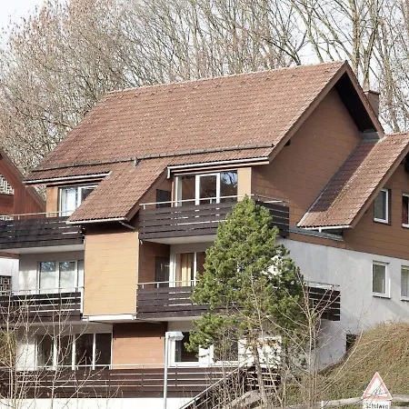 Cosy Apartment In Sankt Andreasberg Near Ski Area *